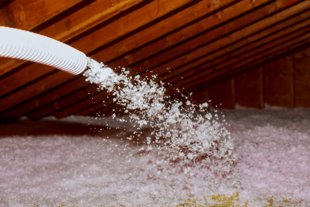 Best Insulation for New Construction  in Chepachet, RI